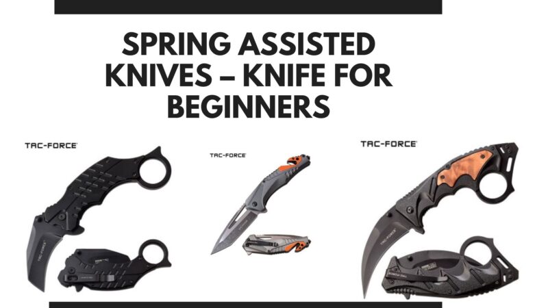 Spring Assisted Knives