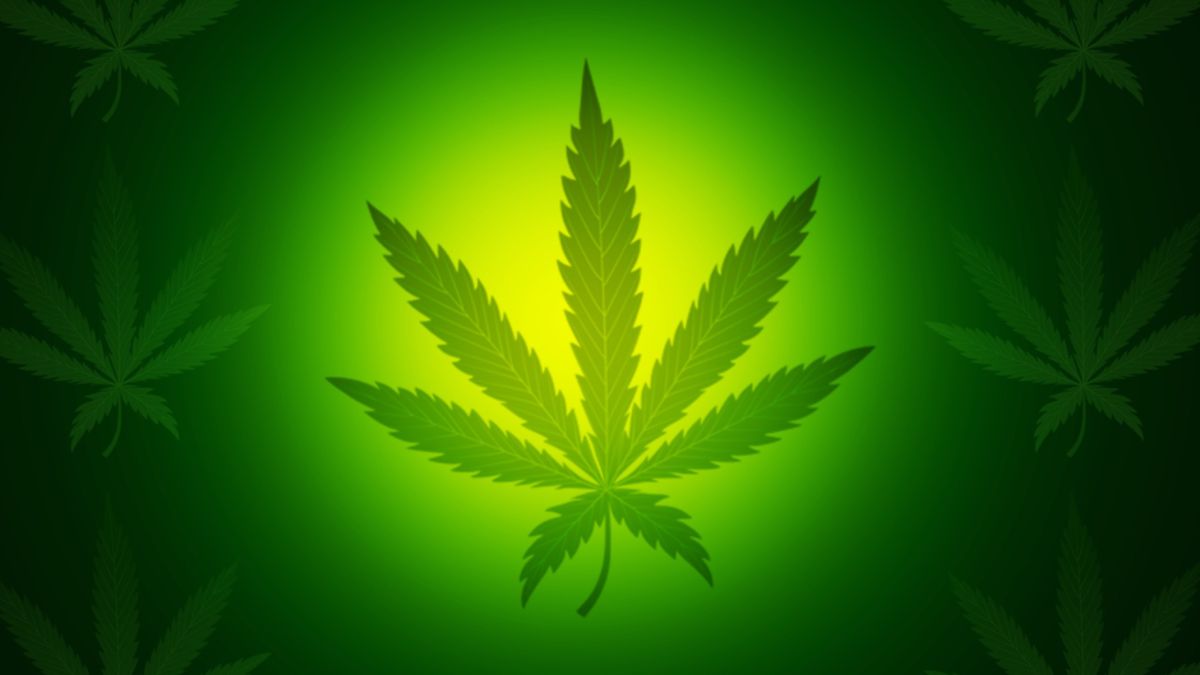 Marijuana