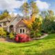 Tree Care How To Look After Your Trees