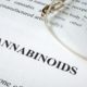 A Complete Guide on the Different Types of Cannabinoids