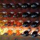 Top 10 Wine Racks for the Interior Designer in You