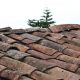 Roof Shingles
