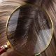 anti dandruff shampoo for oily hair
