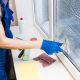Window Cleaning Services