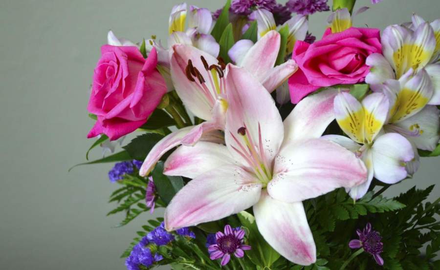 Flowers Fresh