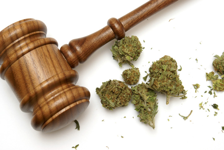 Marijuana Laws in Florida