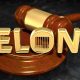 Felony Conviction